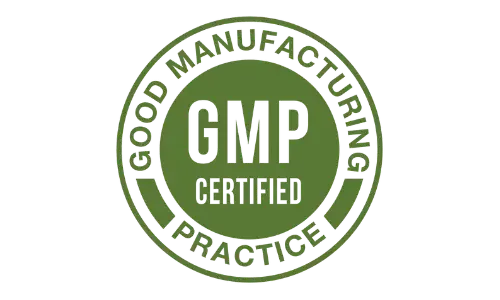 MemoryVitali GMP certified supplement for focus memory support and cognitive health